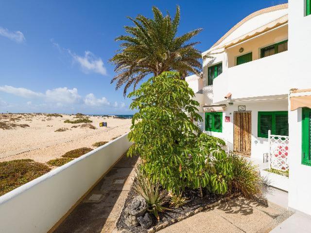 Apartamento Nire Lula En La Misma Playa Cotillo Eksteriør billede