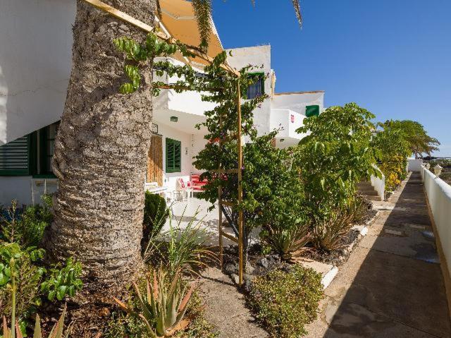 Apartamento Nire Lula En La Misma Playa Cotillo Eksteriør billede