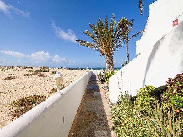 Apartamento Nire Lula En La Misma Playa Cotillo Eksteriør billede